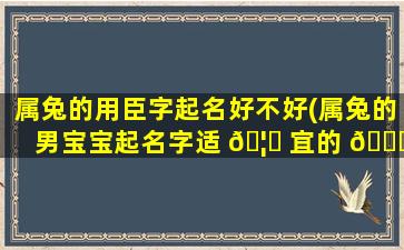 属兔的用臣字起名好不好(属兔的男宝宝起名字适 🦍 宜的 🐘 字)